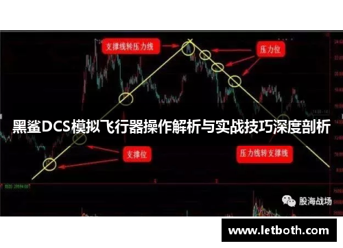 黑鲨DCS模拟飞行器操作解析与实战技巧深度剖析